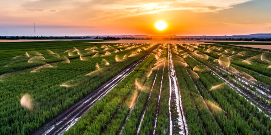 Riego: sistemas de riego, aspersores, aspersores - fabricante, Poloniaа 01